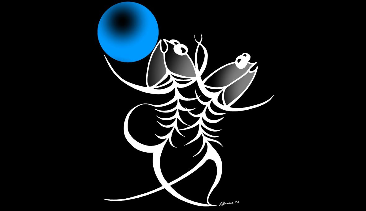 Sommernachtsball Sommernachtsball