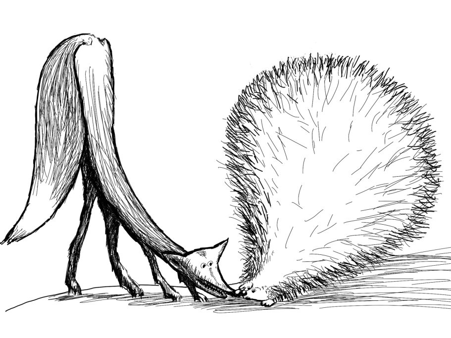 Fuchs und Igel